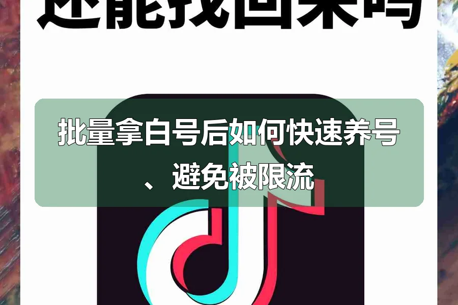 批量拿白号后如何快速养号、避免被限流