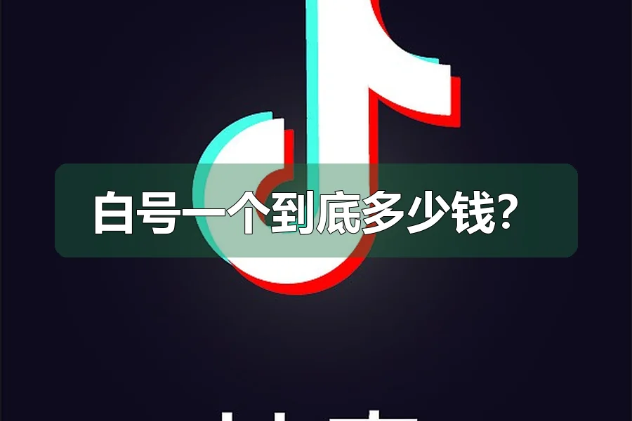 白号一个到底多少钱?